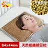 【凱蕾絲帝】台灣製造-純天然清涼透氣紙纖綠豆枕-成人大枕