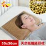 【凱蕾絲帝】台灣製造-純天然清涼透氣紙纖綠豆枕-青少年女性中枕