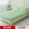 【米夢家居】原創夢想家園-台灣製造100%精梳純棉雙人5尺床包三件組(青春綠)