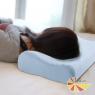 UNO【凱蕾絲帝】記憶枕系列~灌模(中)科技枕~高密度一入